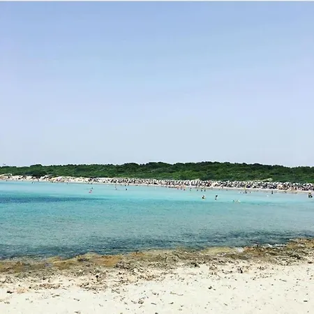 Accogliente Casa A 500 M Dal Mare شقة *
