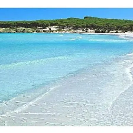 Accogliente Casa A 500 M Dal Mare Lägenhet Marina di Mancaversa