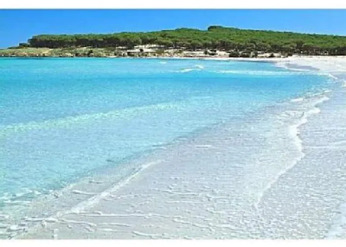 Accogliente Casa A 500 M Dal Mare Apartmán Marina di Mancaversa